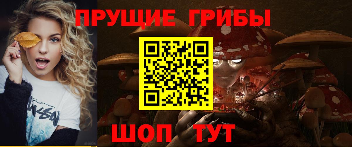 Псилоцибиновые грибы мухоморы  где купить наркоту  Вход с VPN  Серпухов  Галлюциногенные грибы GOLDEN TEACHER 